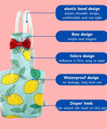 Bird Diaper Harness With Leash For Outdoor Fun, showing design features like elastic bands, bow, Velcro, waterproof