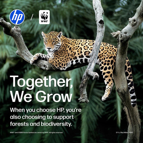 Close-up of a resting jaguar on a tree branch, promoting HP's partnership with WWF for conservation.