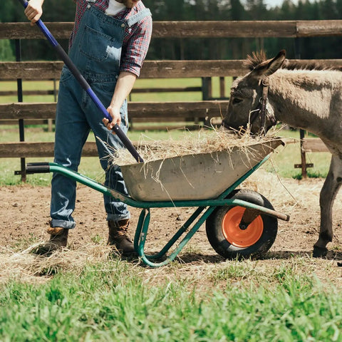 Person using Five-Tine Pitchfork For Gardening 57-Inch Heavy Duty Garden Fork With Fiberglass Handle to move hay with donkey nearby