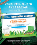 Voucher for Butterfly Habitat Kit With Voucher For Five Caterpillars, Includes Mesh Cage With See Through Lid, Decoratable Feeder With Stickers, Easy Setup Growth Kit For Kids, All In One Butterfly Fun Experience Amazon Exclusive.