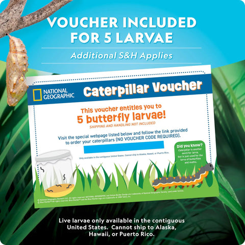 Voucher for Butterfly Habitat Kit With Voucher For Five Caterpillars, Includes Mesh Cage With See Through Lid, Decoratable Feeder With Stickers, Easy Setup Growth Kit For Kids, All In One Butterfly Fun Experience Amazon Exclusive.