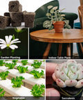 Seed Starter Plugs Kit With Rapid Root Sponges And 60 Colorful Labels For Organic Plant Starters And Hydroponics, 50 Pieces Germination Plugs for garden planting, indoor table plant, vegetable, succulents setup