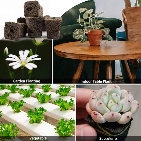 Seed Starter Plugs Kit With Rapid Root Sponges And 60 Colorful Labels For Organic Plant Starters And Hydroponics, 50 Pieces Germination Plugs for garden planting, indoor table plant, vegetable, succulents setup