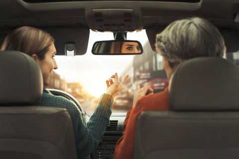 Two people in a car pointing outside, seen from the backseat, bright daylight through the windshield.
