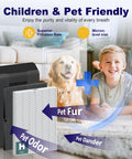 Illustration showing Replacement Filter H for Winix 5500-2 AM80 PlasmaWave Air Purifier with focus on pet fur and dander filtration.