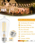 Edison E26 LED Bulb 60W Equivalent 3000K Soft Warm White 6W Vintage Filament Light Bulbs Antique ST58 Clear Glass CRI 85 E26