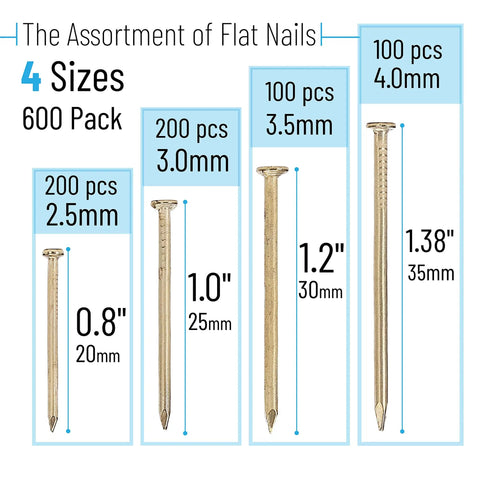 Gold Finish Nail Kit With 600 Nails In Four Sizes For Picture Hanging And Woodworking Includes Finishing Nails For Drywall