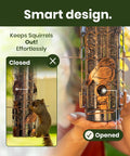 Squirrel-Proof Outdoor Bird Feeder That Delivers Mealworms And Seeds, Large 3-Pound Capacity, Weather-Resistant Hanging Tube