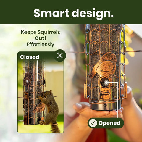 Squirrel-Proof Outdoor Bird Feeder That Delivers Mealworms And Seeds, Large 3-Pound Capacity, Weather-Resistant Hanging Tube