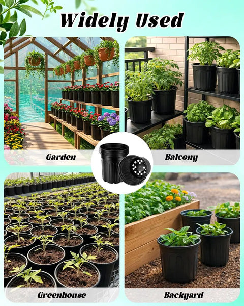 65 Pack One Gallon Seedling Pots With Drainage Holes For Easy Seed Starting And Transplants in garden, balcony, greenhouse, backyard.