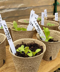 60 Pack 3.1 Inch Biodegradable Peat Pots With 60 Plant Labels No Fuss Seed Starting Trays Drainage Holes Eco Friendly Nursery Pots