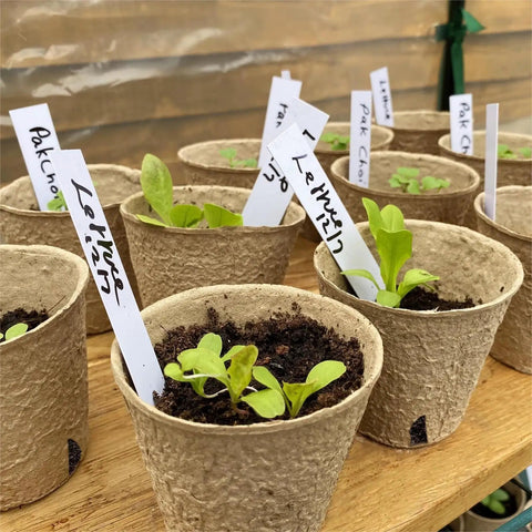 60 Pack 3.1 Inch Biodegradable Peat Pots With 60 Plant Labels No Fuss Seed Starting Trays Drainage Holes Eco Friendly Nursery Pots