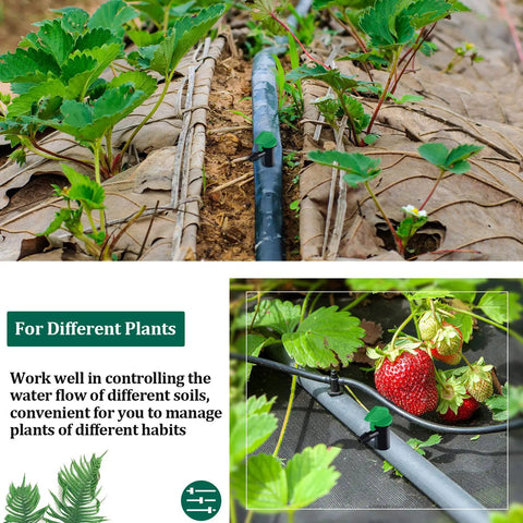 60 Piece Drip Emitter Flag Drippers For Trees And Shrubs 4 GPH Irrigation System working in garden with strawberries