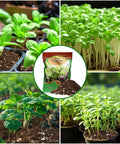 Ready To Grow Seed Starter Soil Mix 1 Qt For Germination And Early Growth Loamy Well Drained Compost Blend Ideal For Veggies, Flowers And Houseplants Now with images of seedlings in soil.
