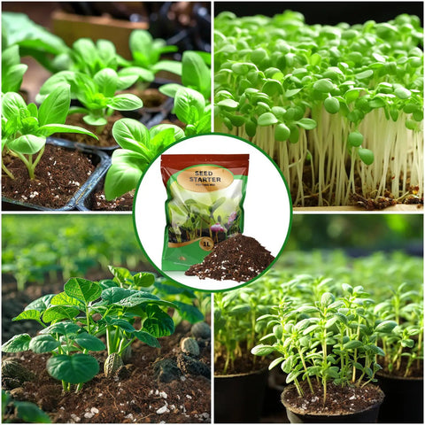Ready To Grow Seed Starter Soil Mix 1 Qt For Germination And Early Growth Loamy Well Drained Compost Blend Ideal For Veggies, Flowers And Houseplants Now with images of seedlings in soil.