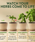 Indoor Herb Garden Starter Kit For Beginners Grow Four Heirloom Herbs On Your Kitchen Window With No Fuss Setup Easy DIY Gift
