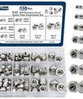 Durable 304 Stainless Steel Acorn Nuts Assortment Kit – 100 Pieces with Sizes Like 6#32, 8#32, organizer box