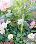 Sustee Aquameter Leave In Soil Moisture Meter Bundle Of 12 For Indoor Houseplants Refillable And No Fuss Read Continuous Soil Moisture Monitoring For 3 To 6 Inch Pots Perfect For Your Greenery, green soil moisture meter in flowering indoor pot