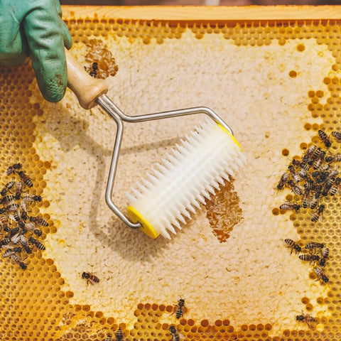 Beekeeping Tools Kit Pro Grade Two Piece Set with honey extractor needle roller uncapping honeycomb filled with bees