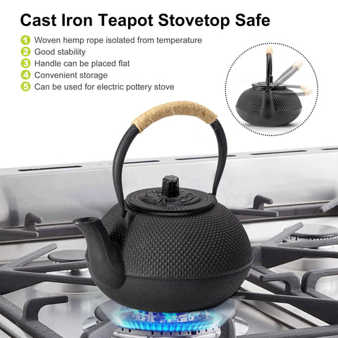 Japanese Tetsubin Cast Iron Teapot With Stainless Steel Infuser Stovetop Safe Enamel Interior 22 Ounce Kettle on gas stove
