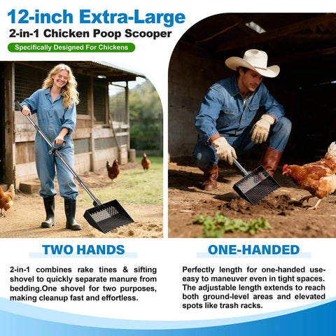 Two In One Chicken Poop Scooper And Rake With Adjustable Stainless Steel Handle For Coop Cleanup in use by two people