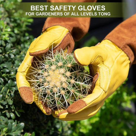 Long Cowhide Leather Gardening Gloves For Women And Men, Thorn Proof Rose Pruning Gloves, Size XL, holding a cactus