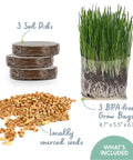 Organic Cat Grass Kit For Indoor Cats With Grow Bags, Seeds And Soil, Hairball Control, High Fiber Blend Of Wheat, Oat, Barley And Rye, Easy Grow System, 3 Pack. Image displays soil disks, seeds, and a BPA-free grow bag with growing grass.