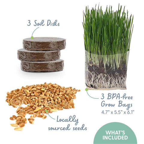 Organic Cat Grass Kit For Indoor Cats With Grow Bags, Seeds And Soil, Hairball Control, High Fiber Blend Of Wheat, Oat, Barley And Rye, Easy Grow System, 3 Pack. Image displays soil disks, seeds, and a BPA-free grow bag with growing grass.