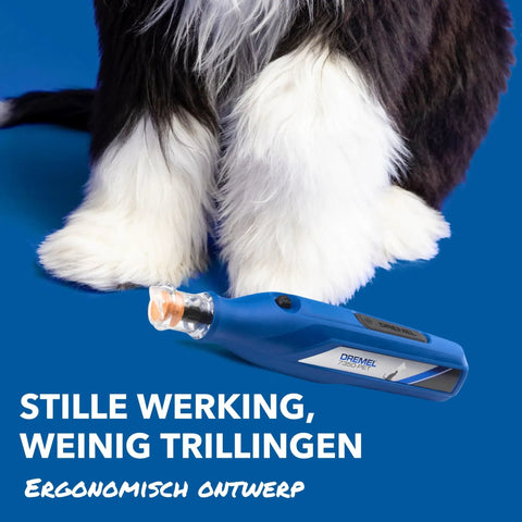 No-Fuss Rechargeable Pet Claw Grinder For Dogs And Cats Quiet Lightweight Rotary Nail Trimmer With Built-In Battery 12000 Rpm near a dog's paw.