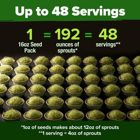 Non Gmo Alfalfa Sprout Seeds 16oz Bulk Pack With Thousands Of Seeds For Sprouting And Microgreens Easy To Grow Indoors Or Outdoors In A Resealable Bag With High Germination For Fresh Healthy Greens displayed as 48 servings of sprouts.