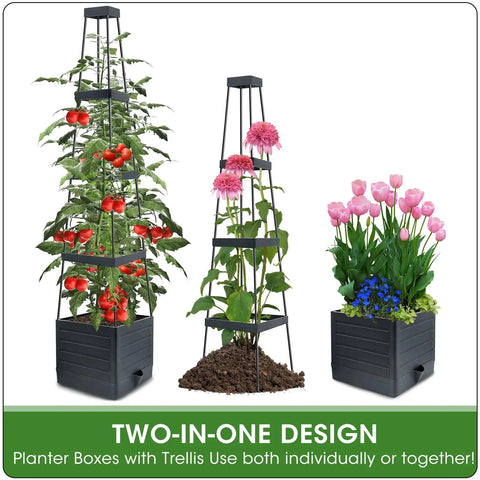 Raised Garden Bed Tomato Planter With Trellis, Self Watering System, 57 Inch Tomato Cages For Climbing Vegetables, Indoor Outdoor Garden Pots For Patio And Greenhouse, No Fuss Two Pack showing two planter boxes with trellis, tomatoes, and flowers.