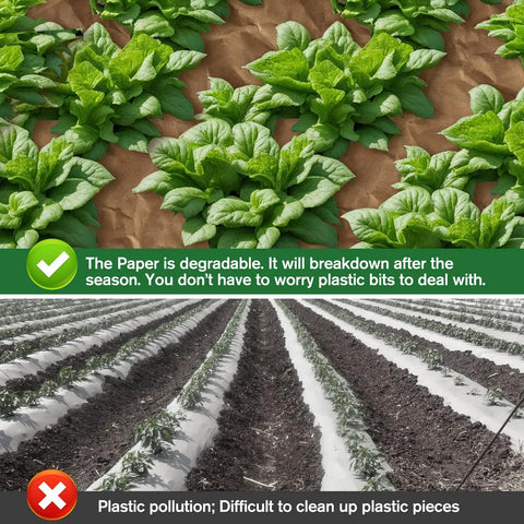 Biodegradable Paper Weed Barrier For Garden Beds Three 100 Foot Rolls shown in garden use preventing weeds