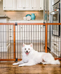 Extra Tall 28 Inch Freestanding Dog Gate, Super Wide 40 To 70 Inch Adjustable, Wooden Pet Gate For Doorways And Hallways, No Drill Setup, Sturdy Freestanding Design For Large Dogs, displayed with a white dog in front in a kitchen setting.