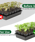 Comparison of seedling tray before and after using Eight Pack Replacement Capillary Mats For Seed Starting 13 By 8 Inches Self Watering Grow Mat Set For Indoor Gardens And Greenhouses No Hassle Seedling Hydration.