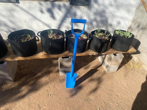 Heavy Duty All Steel Sharpshooter Shovel With Long Handle And Hardened Heat Sharpened Chromoly 15 Inch Head next to potted plants