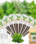 Dope Herb Seed Pod Kit For Hydroponics Garden With Basil Parsley Thyme Mint Cilantro Dill Oregano 7 Heirloom Non GMO Seeds
