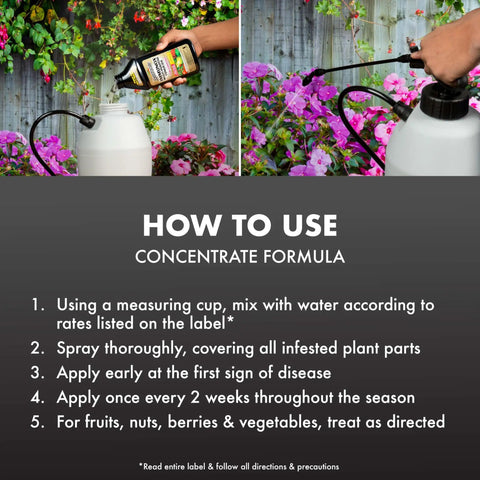 Multi Purpose Fungicide Spray Concentrate For Gardens Rainproof Protection Up To Two Weeks application instructions.