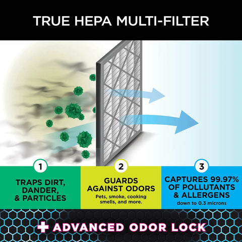 Anti-Allergen HEPA Filter With Advanced Odor Lock For Air Purifier 4 Series HE401 HE402 Cleans Up Dust Dander Smoke And Odors Like A Boss Filtration Down To Three Tenths Micron Gray