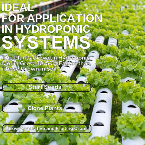 Hydroponic system with Rockwool Cubes 1 Inch for Hydroponics Great for Rooting Cuttings and Clones Seed Germination 4 Sheets Total 200 Cubes