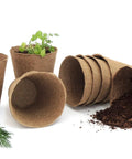 4 Inch Plantable Seed Starter Pots 30 Pack Natural Biodegradable Seedling Pots with plants and soil displayed