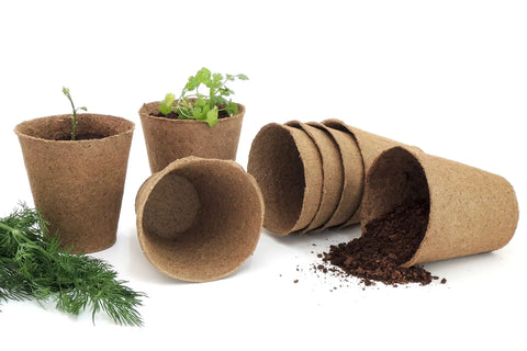 4 Inch Plantable Seed Starter Pots 30 Pack Natural Biodegradable Seedling Pots with plants and soil displayed
