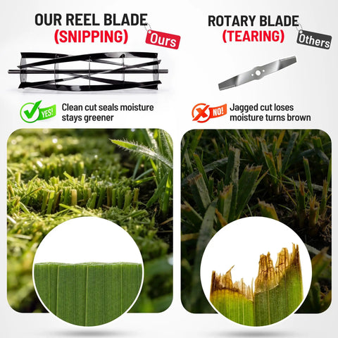 Cordless Electric Reel Lawn Mower With Two 36Wh Batteries And Dual Power 16 Inch Push Mower For Small To Medium Yards Gardens And Golf Greens No Gas Needed Easy Start Quiet Operation reel blade snipping vs rotary blade tearing cut comparison