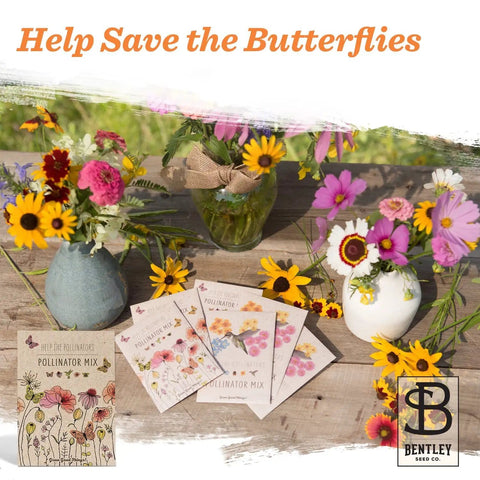 Bentley Pollinator Mix Ready-To-Sow Wildflower Seeds Packets with colorful flowers on a wooden table for butterfly gardens
