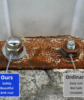 Comparison of Stainless Steel 1/4-20 Acorn Cap Nuts Lock Nuts 18-8 304 Grade with rusty ordinary nut on metal surface