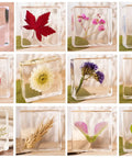 12 Pack Tiny Nature Plant Specimens In Resin For Crystal Clear Close Ups And Study, featuring assorted flowers and leaves
