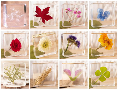 12 Pack Tiny Nature Plant Specimens In Resin For Crystal Clear Close Ups And Study, featuring assorted flowers and leaves