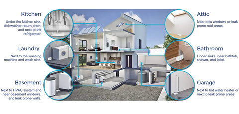 Cross-section of home showing installation locations for Smart WiFi Water And Freeze Detector With 80dB Audible Alarm Text And Email Alerts Continuous Home And Investment Property Monitoring Two Year Battery Life With Replaceable AAA Batteries in kitchen, laundry, basement, attic, bathroom, and garage.