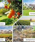 Collage showing an orchard with oranges, a courtyard, a farm, a garden, and a geological survey in progress.