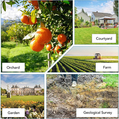 Collage showing an orchard with oranges, a courtyard, a farm, a garden, and a geological survey in progress.