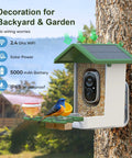 Solar Powered Bird Feeder With Camera For Outdoor Use AI Recognition And Real Time Alerts Wireless Bird House mounted on tree